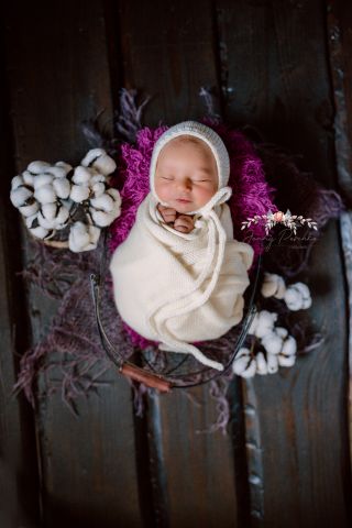 Galerie/Newborn (109)